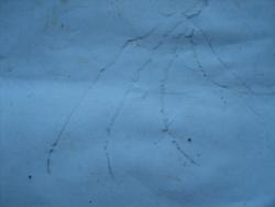 post-33940-0-33509100-1438873081_thumb.j