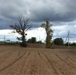 post-34042-0-08569600-1440955858_thumb.j