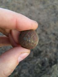 post-34042-0-12383000-1440956281_thumb.j