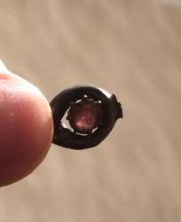 post-34042-0-15724300-1440884492_thumb.j