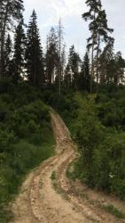 post-34042-0-18755200-1438802723_thumb.j