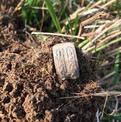 post-34042-0-25089200-1439229325_thumb.j