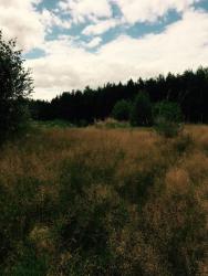 post-34042-0-41875300-1438576488_thumb.j