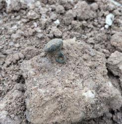 post-34042-0-42202200-1439919409_thumb.j