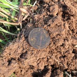 post-34042-0-45589700-1439228059_thumb.j