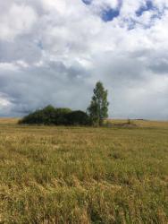 post-34042-0-47966100-1440868551_thumb.j