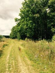 post-34042-0-48282200-1438576243_thumb.j