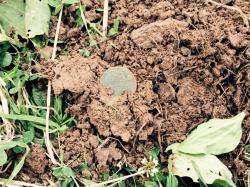 post-34042-0-48674400-1438575533_thumb.j