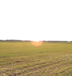 post-34042-0-54174100-1439229271_thumb.j