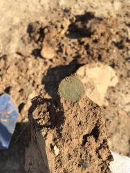 post-34042-0-54296600-1440956535_thumb.j