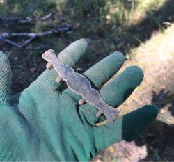 post-34042-0-58659300-1440264691_thumb.j