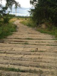 post-34042-0-59403400-1439919571_thumb.j