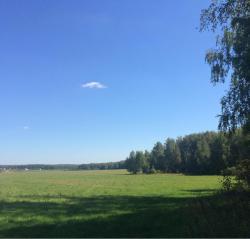 post-34042-0-60732100-1440265249_thumb.j