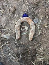 post-34042-0-61272700-1440956634_thumb.j