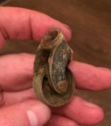 post-34042-0-66765400-1440267076_thumb.j