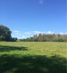 post-34042-0-70856500-1440265257_thumb.j