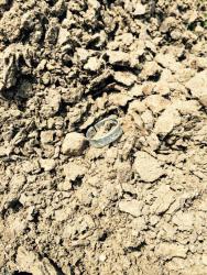 post-34042-0-75932000-1438575329_thumb.j