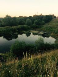 post-34042-0-83010900-1439635235_thumb.j