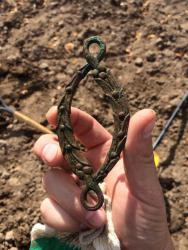 post-34042-0-86680700-1440956243_thumb.j