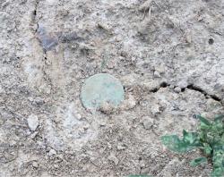 post-34042-0-87183500-1439919773_thumb.j