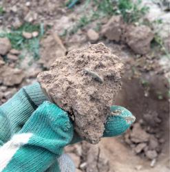 post-34042-0-94522900-1439919398_thumb.j