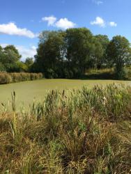 post-34042-0-96900000-1440868536_thumb.j