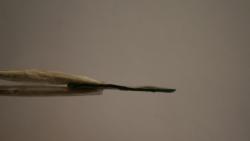 post-34909-0-10072900-1439044738_thumb.j