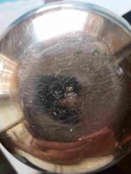 post-35021-0-42059900-1438592738_thumb.j