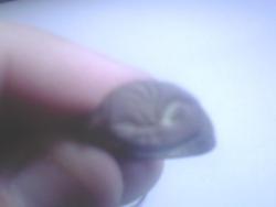 post-35124-0-96633900-1439655241_thumb.j