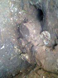 post-35207-0-29625100-1440787625_thumb.j