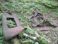 post-4998-0-20134700-1440178178_thumb.jp