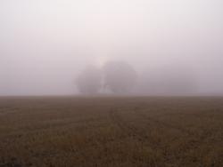 post-1697-001204700 1285596133_thumb.jpg