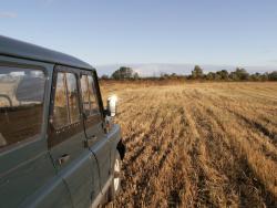 post-1697-019852500 1285512776_thumb.jpg