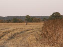 post-1697-065603600 1285596504_thumb.jpg