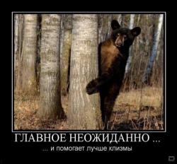 post-1724-090250100 1284081234_thumb.jpg