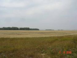 post-2202-045014900 1283872602_thumb.jpg