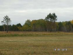 post-2293-007685900 1284824391_thumb.jpg