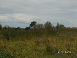 post-2293-021225200 1284824369_thumb.jpg