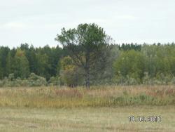 post-2293-078089300 1284824415_thumb.jpg