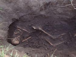 post-2433-005322000 1284366664_thumb.jpg