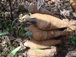 post-2433-058626600 1284367651_thumb.jpg