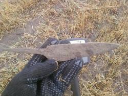 post-2817-018171100 1284032798_thumb.jpg