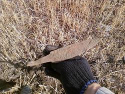 post-2817-024100000 1284975008_thumb.jpg