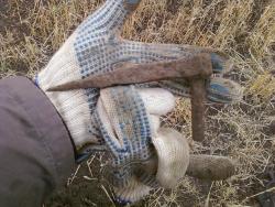 post-2817-037439600 1284637851_thumb.jpg