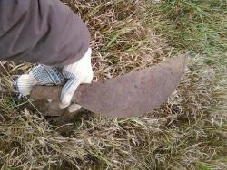 post-2817-073635000 1284637832_thumb.jpg