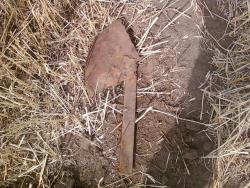 post-2817-096549400 1284379116_thumb.jpg