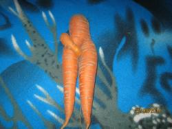 post-3169-094377400 1285418273_thumb.jpg