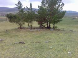 post-3348-009437600 1284728207_thumb.jpg