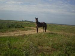 post-3757-011831000 1283851128_thumb.jpg