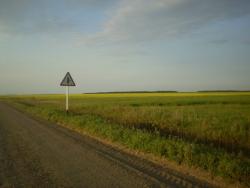 post-3757-062409900 1283850937_thumb.jpg